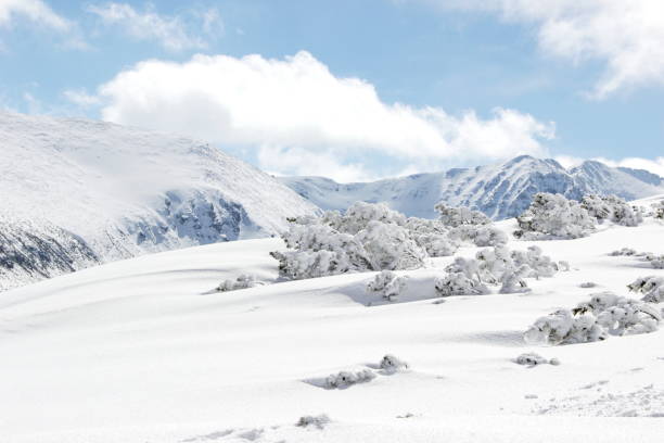 Experience Borovets Holidays in 2025